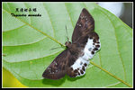 ����ȧ˽�080727