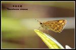 ����˽�080701