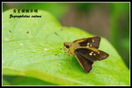 ���n�~�ߧ˽�080713_2