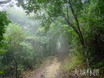 �ʪ��]�ƨg-����g 062