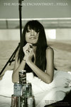 stella-sp-137
