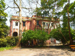 P4240040x