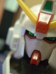 CIMG0049