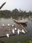 DSC01968