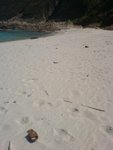 DSC00567