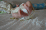 anigif