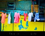 IMG_2543