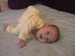 20080202-10