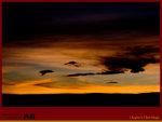 IMG_1064 copy
