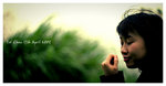 IMG_4026 copy