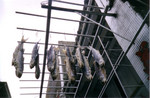 04 MAR@2nd 17