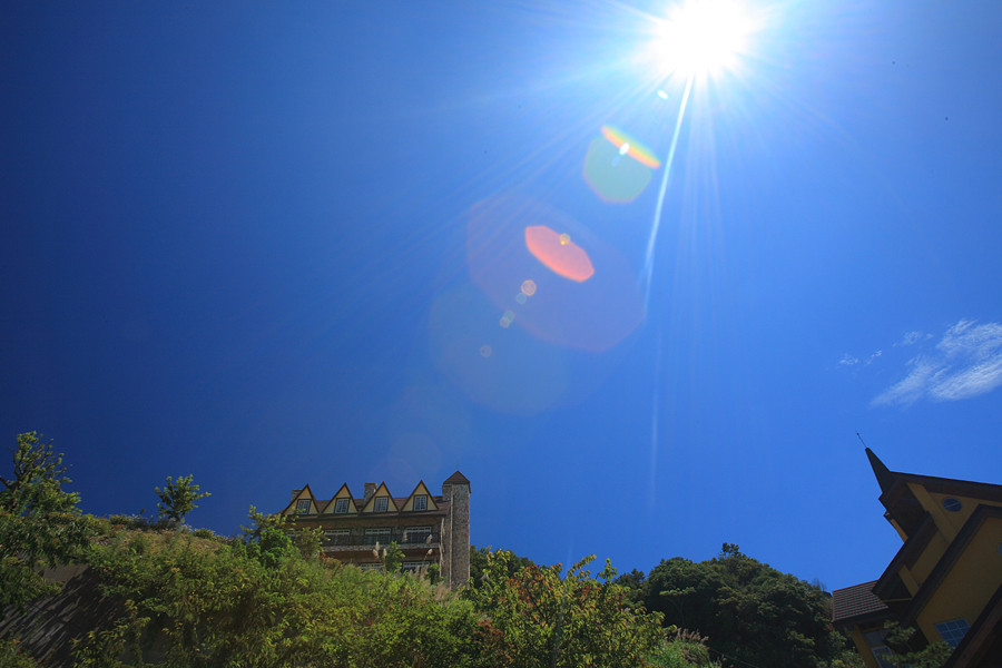 http://images4.fotop.net/albums2/kenwan/TaiChung_TsingKing/IMG_9808.jpg
