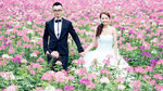 CHU_5917a