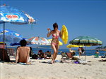 DSC02463
