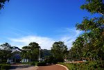 DSC08086