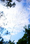 DSC00767