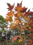 DSCN2599