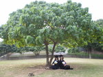 PB180362