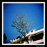 sPCD_20080106_1_0012