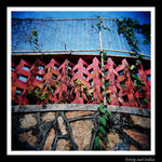 sPCD_20080106_2_0008
