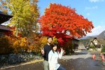 20101108_20341
