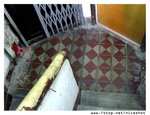 IMG_0521 copy