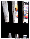 IMG_0523 copy