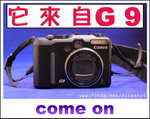 IMG_4803 g9