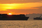 HIN_3920