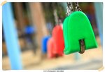 IMG_7229