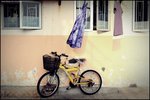 HIN_3225