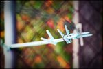 HIN_9590