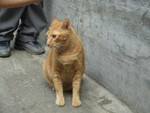 �Ĥ@������o�J�߿�~