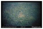 FUJICOLOR SUPERIA REALA 100