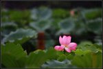IMG_3401