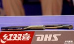 �i�~�쪺 Viscaria �M���q���g�t�q photo by Y.J����