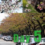 Day5_cover_a