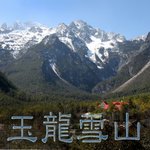Jade_dragon_cover