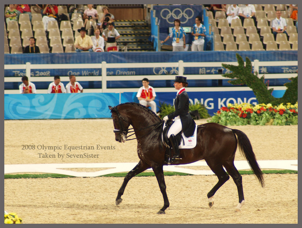 2008 Olympic Equestrian Events in Hong Kong SkyscraperCity