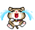 cats12