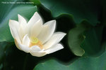 CRW_5491_2