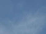 DSC00010