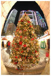 �������t���w�֤p��2006 ��Central District Santa's Town