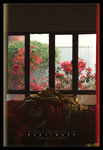 ���q�t���� ����x��t�C ��The Window Of Temple. Chinese Garden Series