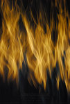 �������P�� ���v�t�C�� �u��v�� ��Light's Flame (n 2). Light & Shadow Series L(12)