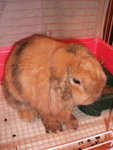 DSCF0096