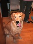DSCF0097