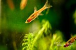 _DSC3535_lo