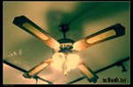 DSCF1152
