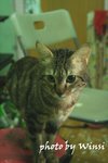 IMG_8177